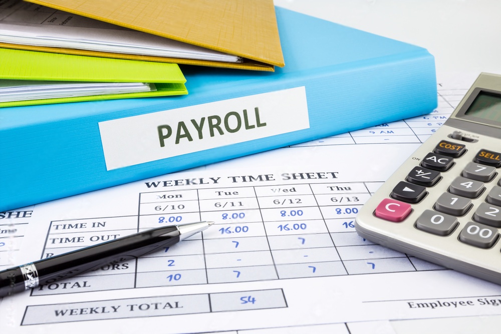 what is a control # on a pay stub mean