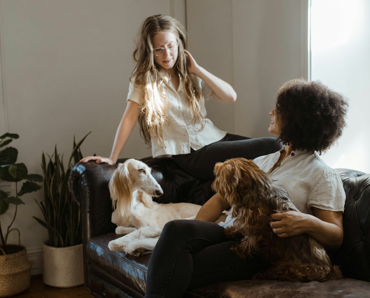 dp with state on check stub